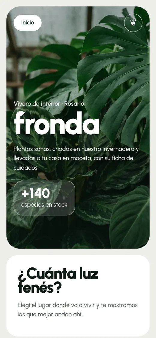 Estilo Verde botánico: Fronda · vivero de interior